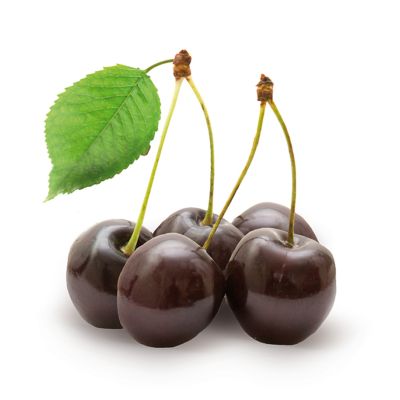 Körsbär &#39;Regina&#39;